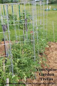 I got tired of my tomato support cages falling over, my wooden tomato stakes not being tall enough, the trellis system not being big enough, the twine or string breaking in a weave system. 5 Terrific Tomato Trellis Ideas For Easy Harvesting