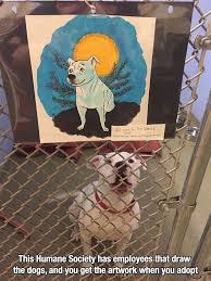 This Humane Society Has Employees That Draw The Dogs And You Get The Artwork When You Adopt Humane Society Wholesome Memes Oils For Dogs