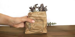A continuación, si las piedras son oscuras, píntalas de blanco para que el verde se vea. Cajas Para Regalar Cactus Como Detalle El Blog De Envolvis