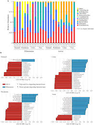 frontiers metagenomics reveals seasonal functional