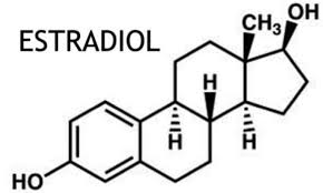 Maybe you would like to learn more about one of these? Estradiol Apa Itu Norma Hormon Seks Pada Wanita Norma Estradiol Di Kalangan Wanita Dan Peranan Biologinya