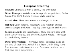 Image result for Phyla