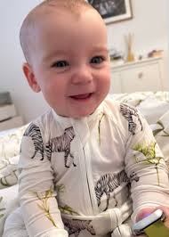 ZIPSTER™ Grazing Zebra Baby Zip