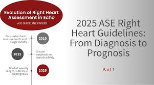 From Diagnosis to Prognosis: How the 2025 ASE Right Heart Guidelines  Redefine Echo - Cardioserv