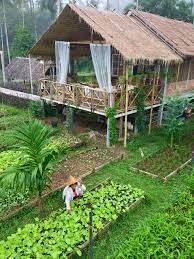 pin by kendal bailey on travel other international cottage design bamboo house bamboo house design
