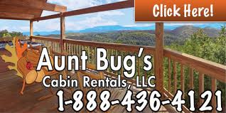 Maybe you would like to learn more about one of these? Aunt Bug S Cabin Rentals Pigeon Forge Cabin Rentals Pigeonforge Com