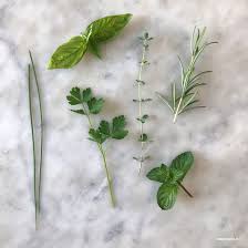 Congelare le zucchine crude è il modo migliore per preservarne tutte le caratteristiche e i nutrienti. Come Conservare Le Erbe Aromatiche 5 Metodi Facili E Green
