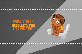 Whats Your Toddlers Poo Telling You Infographic Diaresq