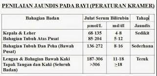Samada bacaan kuning bayi normal atau bahaya bergantung kepada 3 perkara berikut selain itu, cara penyusuan bayi yang salah juga boleh menyebabkan bayi kuning (breastfeeding jaundice) kerana bayi tidak mendapat susu ibu yang secukupnya. Kenal Pasti Bacaan Jaundis Pada Produk Baby Mummy Facebook