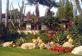 Drought Tolerant Home Landscape