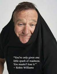 Pin By Vicky Seal On Quote This Robin Williams Quotes Robin Williams Words