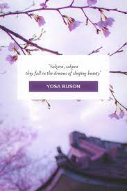 Blossom and friends quotes quotesgram rumi quotes. Cherry Blossom Quotes About Life And Renewal Passport To Eden