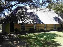 Image result for Gymnosporia matoboensis