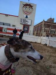 The Top 10 Things To Do Near The Wonder Bar Asbury Park