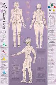 Acupressure Acupuncture Point Charts Meridian Charts