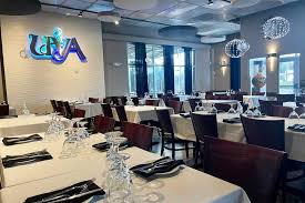 Image result for Uvaria rovumae