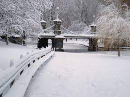 Winter Boston 2008 Boston Public Garden Winter Garden Winter Scenes