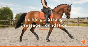 All horses are monitored multiple times throughout the day ending with nightly barn check and lock up. 3 Exercises To Improve Your Dressage In Line With The Training Pyramid