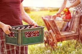 Lesen sie jetzt „vatertag in der ein mann zieht zum vatertag in remscheid einen bollerwagen über einen waldweg. Mit Bier Und Bollerwagen Vatertag In Deutschland Vela