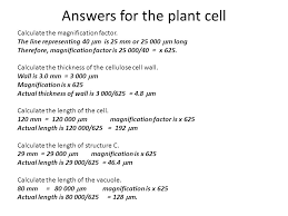 We did not find results for: Magnify Cent Biology Ib Biology Topic 2 Learning Outcomes Everyone Should Compare Relative Sizes Of Biological Molecules Viruses Cells And Bacteria Ppt Download