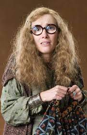 Pin On Professor Trelawney