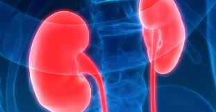 Healthy kidneys filter about a half cup of blood every minute, removing the national institute of diabetes and digestive and kidney diseases (niddk) and other components of the national institutes of health (nih) conduct. Nephritis Types Causes And Symptoms