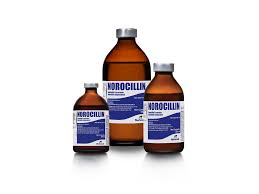 Image result for Penicillin