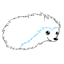Draw forest animal hedgehog cartoon vector. How To Draw A Hedgehog Really Easy Drawing Tutorial