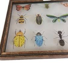 Las mejores ofertas en Arte de la mariposa afiches y grabados de decoración  para el Hogar
