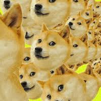 The price of dogecoin is skyrocketing right now and people are reacting on twitter with memes. Elon Musk Bitcoin Gif By Haydiroket Find Share On Giphy