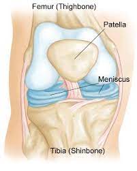 Meniscus Injury Singapore Treatment Experienced Knee Surgeon