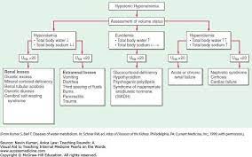 Pin By Moran Gal On רפואה Nephrotic Syndrome Hyponatremia Renal