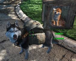 Looking For A Mod That Allows Armor To Be Worn With Transdogrifier Fallout 4 Mod Requests The Nexus Forums If you haven't discovered that location you're looking for a gorge, and within that a little dugout where you'll see three dog bowls. transdogrifier fallout 4 mod requests