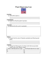 Plant Reproduction Worksheet Reproduction Parts Of A Flower Planting Seeds