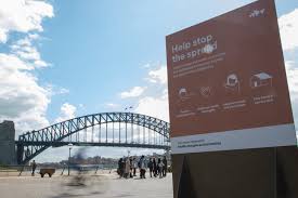Jun 16, 2021 · new zealand aims to have offered everybody vaccinations by the end of the year. Australia S Borders May Not Open Until Later In 2022 According To The Country S Finance Minister Travel Leisure