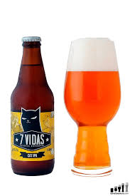 Cat Ipa In 2020 Craft Beer Ipa Beer Bottle