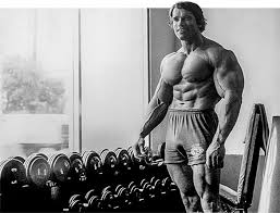 Maybe you would like to learn more about one of these? Arnold Schwarzenegger Greatest Physiques