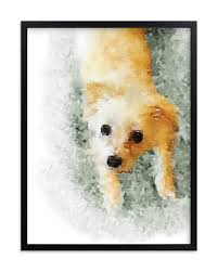 This is the first pet portrait i ever painted! Create Custom Pet Portraits Minted