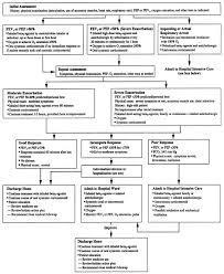 55 experienced peak flow chart for kids