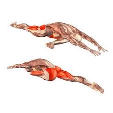 Pigeon Pose Head Down On Left Foot Adho Mukha Kapotasana Left Yoga Poses Yoga Com Yoga Anatomie Yoga Stellungen Yoga Asanas