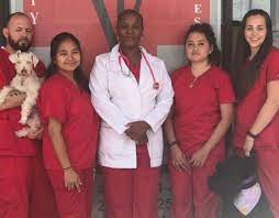 Mercy pet clinic offers the following convenient and affordable vet services. Top Rated Local Veterinarians Katy Pet Wellness Solutions