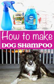 Dog Shampoo Diy Homemade Recipe Easy 3 Ingredient Spray This Simple Trick Will Save You So Much Go Gr Homemade Dog Shampoo Dog Shampoo Recipe Dog Shampoo