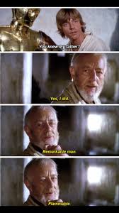 29 Completely Pointless Memes That Are Stupid Yet Funny Star Wars Humor Star Wars Jokes Star Wars Quotes