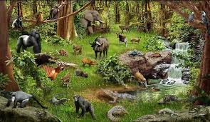 Ekosistem Hutan Pengertian Manfaat Komponen Macam Jenis Dan Contoh Jagad Id