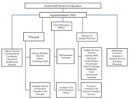 43 Skillful Co Director Org Chart