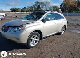 Image result for Satin Cashmere 2011 HS