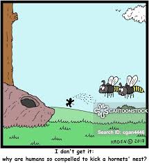It spawns every 10 minutes with a 20% chance. Hornet Cartoons And Comics Funny Pictures From Cartoonstock