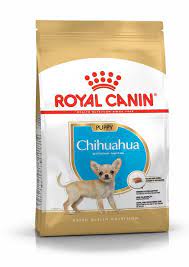 #1) chihuahuas are named after chihuahua, mexico. Chihuahua Puppy Trocken Royal Canin De