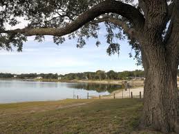 Wildlife thrives around Lake Eva in Haines City