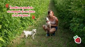 Claire Chirouze Fruits Rouges Du Velay